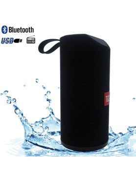 T&G TG-113 Ηχείο Bluetooth 10W με Ραδιόφωνο και Διάρκεια Μπαταρίας έως 3 ώρες Μαύρο