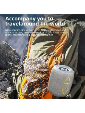 T&G Ηχείο Bluetooth 5W με Ραδιόφωνο Γκρι TG655