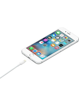 Apple USB-A to Lightning Cable Λευκό 2m (MD819ZM/A)