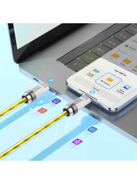Hoco U113 USB 2.0 Cable USB-C male - USB-C 100W Χρυσό 1m