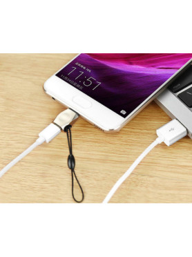 Hoco UA8 Μετατροπέας USB-C male σε micro USB female Ασημί